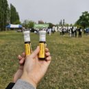 교동로 | [경기도 여주] 2026년 여강길 걷기축제 후기