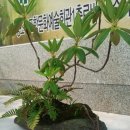 천북주유소 이미지