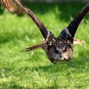 내컴퓨터 관리하기 이미지