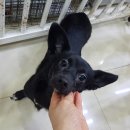세병로 이미지