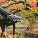 창덕궁 소극장 | 도심여행 고궁탐방 추천 (경복궁, 창덕궁, 덕수궁)