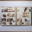 호텔영일대 이미지