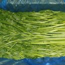 자연대로4 이미지