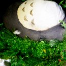 (주) 대원이엔티 이미지