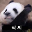 데굴데굴 이미지