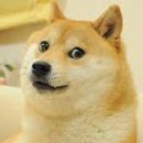 우리아이동물병원 이미지