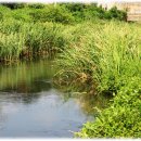 무너미농장 이미지