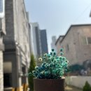 친환경 화분 만들기 이미지