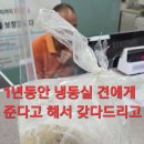 나눔약초 Daum카페