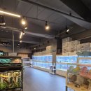 와우펫앤쥬 양산점 이미지