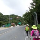 야부천 Daum카페