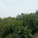 칠량농장 이미지