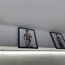 한남 권투 이미지