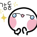 오직고기이수점