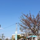 GS25 강화한옥점 이미지