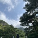 오복땅옛날단팥죽 이미지