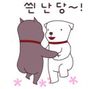 쏭김밥 이미지