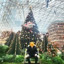 별마당 작은도서관 | 크리스마스 맞이 코엑스 별마당도서관 방문 후기