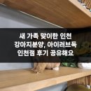 펫앤펫 인천점 강아지분양의 모든것 | 새 가족 맞이한 인천 강아지분양, 아이러브독 인천점 후기 공유해요