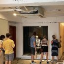 산수싸리 이미지