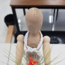 사나바른몸
