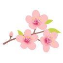 매화세탁소 이미지