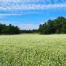 글래드호텔앤리조트(주)메종글래드제주 | 제주 5월 날씨 온도 옷차림 준비물 실내 대비 장소 리스트