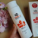 코리아 카 클리닉 이미지