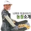 휴천장식