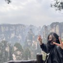 주공카써비스 | 🇨🇳 장가계 자유여행