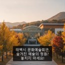 태백문화예술회관 | 태백시 문화예술회관, 숨겨진 예술의 정원? 놓치지 마세요!