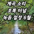 물맑은강천 | 6월 계곡 산행지 추천 6월 등산 추천