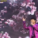 미스터김밥 이미지