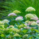 부천중앙공원 이미지