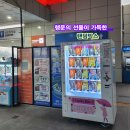 함평나비(무안) 이미지