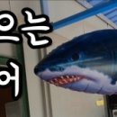 삼죽특수가스 이미지