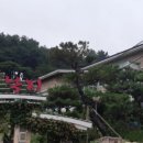 뻘떡낙지(삼남) 이미지