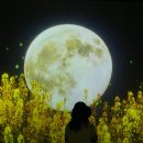충의로R 네이버블로그