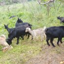 유영준 농장 이미지