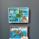 독도블루스 이미지