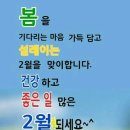행복한 하루 이미지