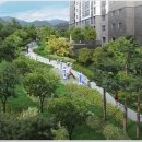 새(금호) 이미지