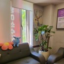 효자촌온한의원 | 분당 효자촌온한의원 내돈내산 공진단 선물 후기 및 복용법 빛 보관법 소개