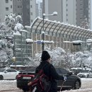 “스키타고 출근?”...폭설 속 스키 탄 시민 화제 ⛷️⛷️ 이미지