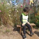 윤가농장 이미지