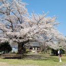 유성농장 4농장 이미지