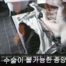 월성인쇄 이미지