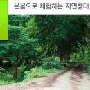 삼부산림 이미지