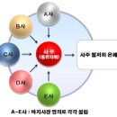 기획부동산, 그 어마무시한 실체는? 이미지