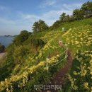 부안변산마실길 이미지